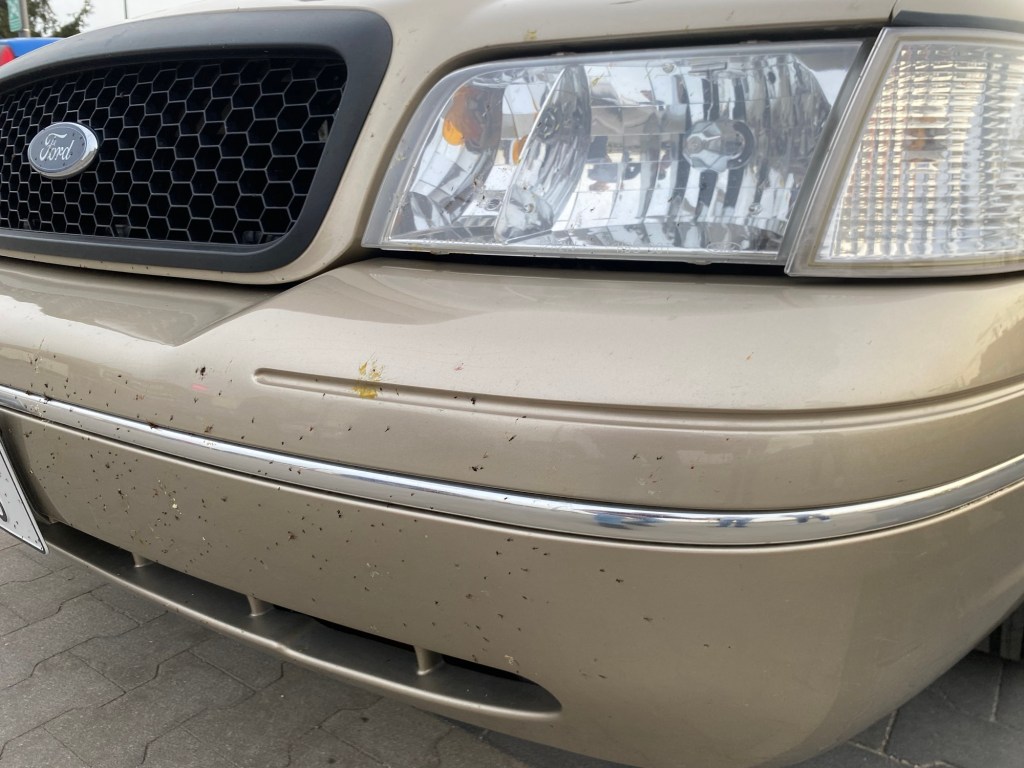 Det er en flue i grillen&nbsp;min