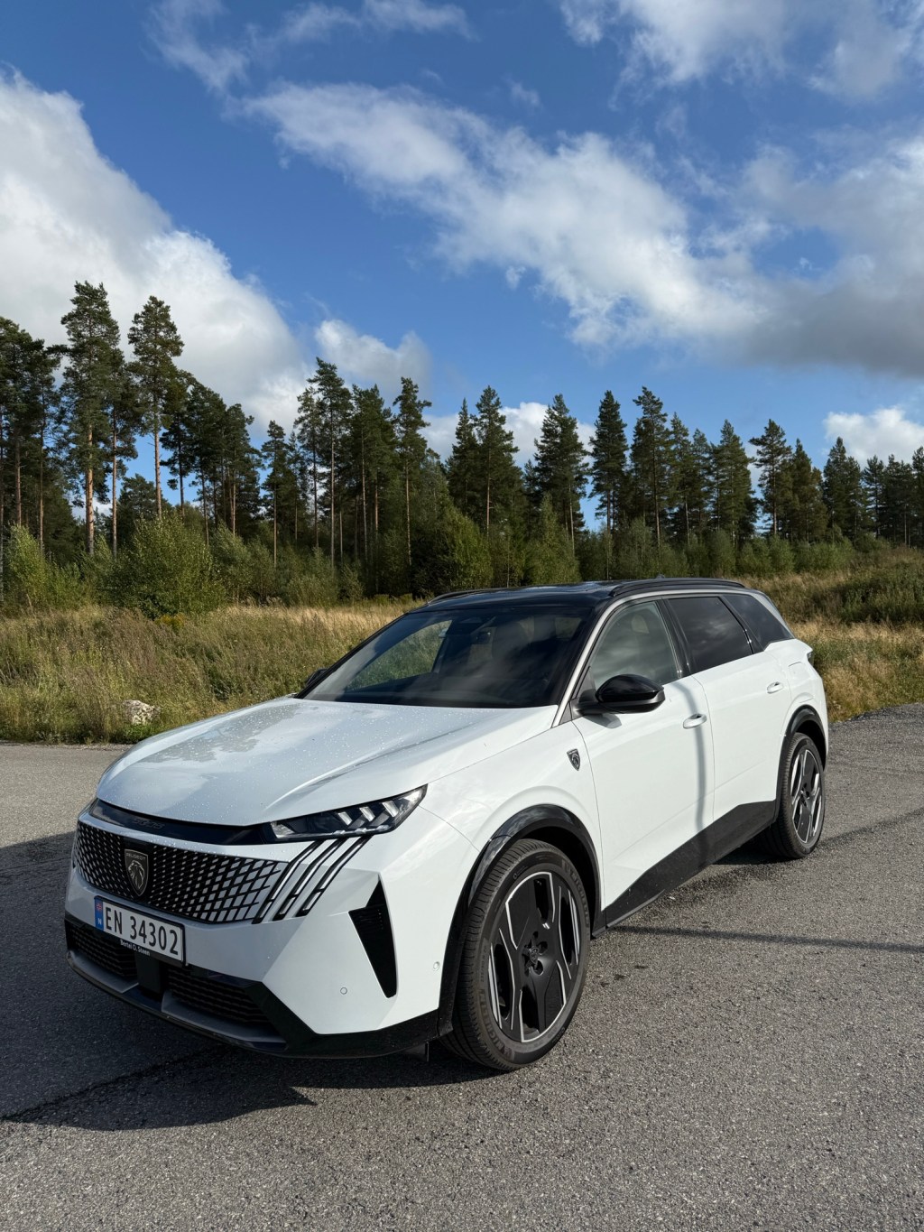 Test: Peugeot E-5008